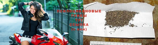 ГАЛЛЮЦИНОГЕННЫЕ ГРИБЫ Балабаново