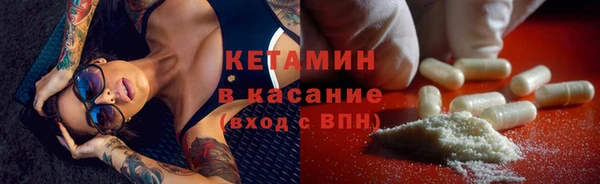прущие грибы Баксан