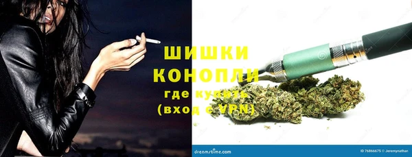 ГАЛЛЮЦИНОГЕННЫЕ ГРИБЫ Балабаново