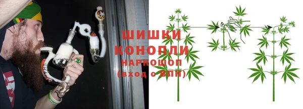 прущие грибы Баксан
