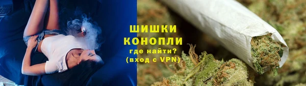 прущие грибы Баксан
