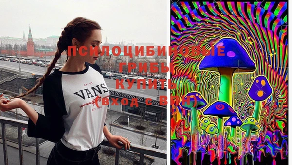 прущие грибы Баксан