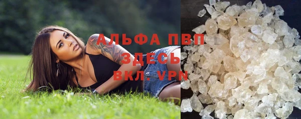 ГАЛЛЮЦИНОГЕННЫЕ ГРИБЫ Балабаново